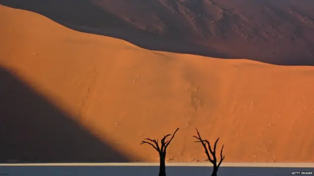 ਨਾਮੀਬਿਆਨ ਮਾਰੂਥਲ