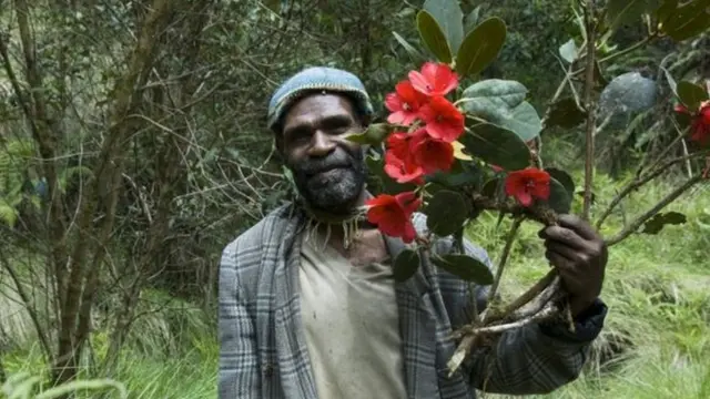 نیو گنی جزیرہ