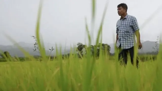 ক্রিয়াংক্রাই তেচামং