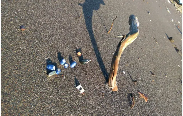 Contaminación de una playa en Chile