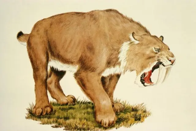 Ilustración del felino dietes de sable