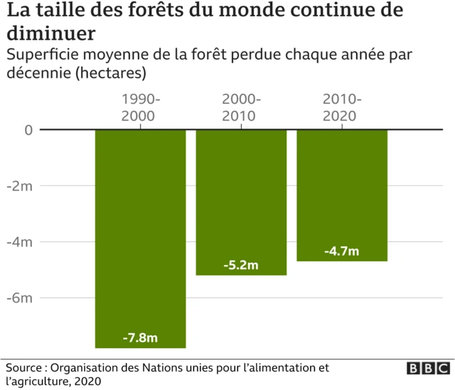 Graphique montrant comment la surface forestière mondiale a diminué depuis 1990.