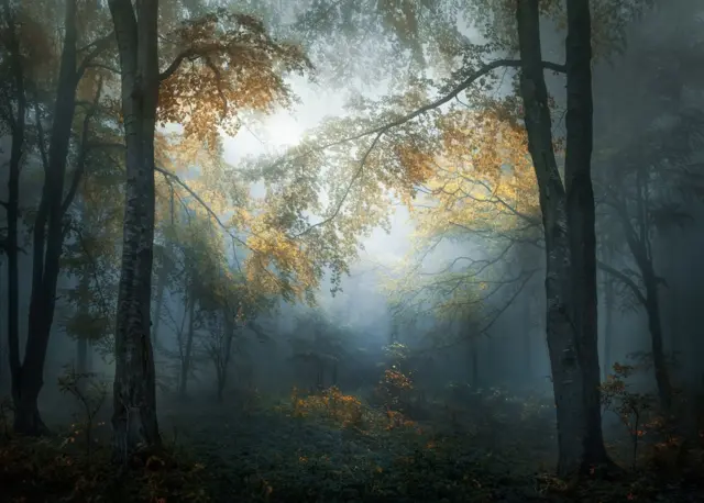 Веселін Атанасов