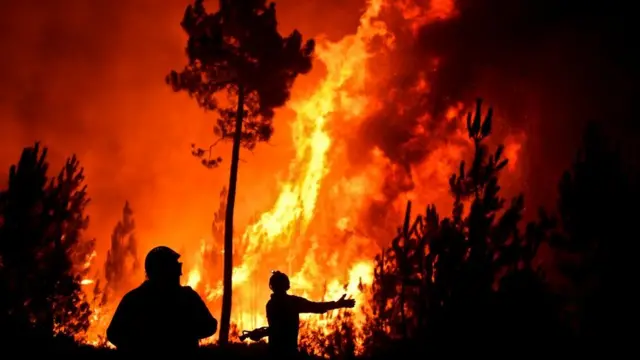 காட்டுத்தீ