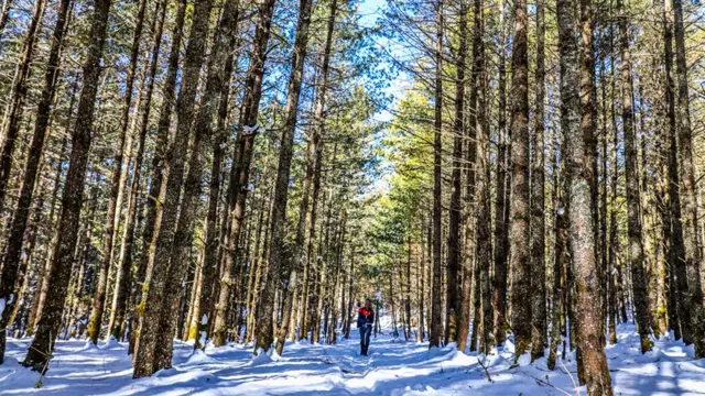 रारा जाने बाटो