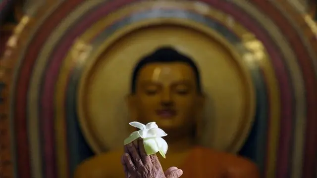 Buddha printed sari in Sri Lanka