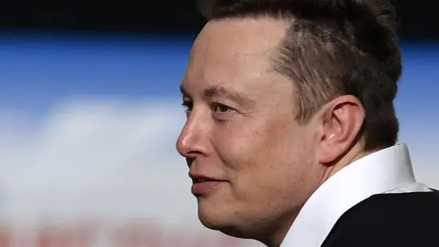 एलॉन मस्क, डुक्कर