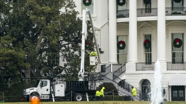 Trabajadores junto al árbol.