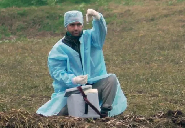 బర్డ్ ఫ్లూ