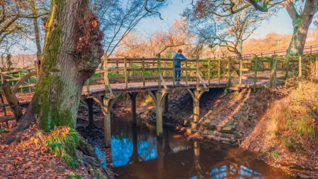 El puente Pooh Sticks, el en bosque de Ashdown