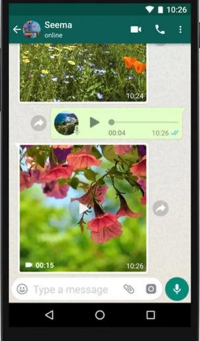 व्हॉट्स एप