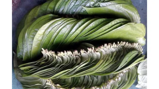 வெற்றிலை