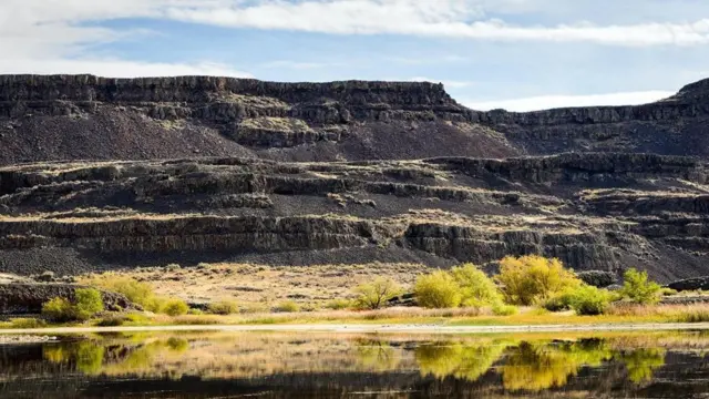 （圖片來源：Zack Frank）