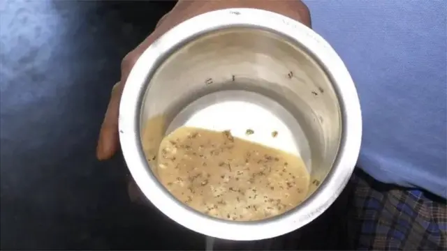 கிராமத்தை தாக்கும் சிவப்பு எறும்பு படை