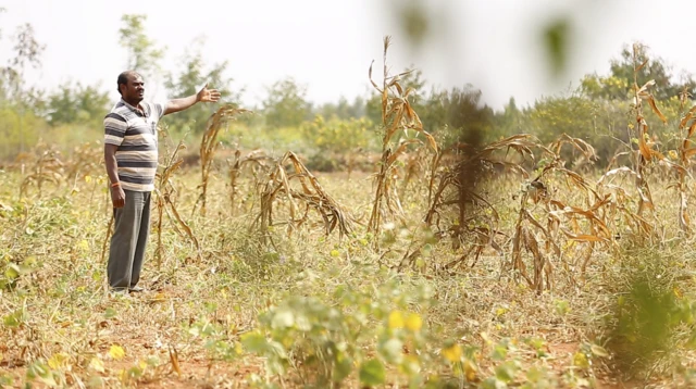 मोहन कुमार