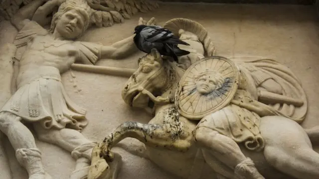 Excremento de paloma