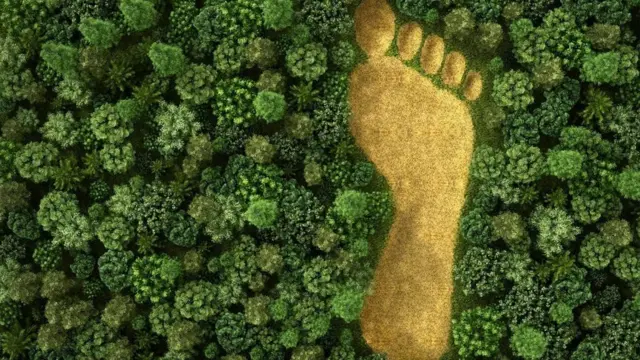 சூழலியல் தாக்க மதிப்பீட்டு வரைவு 2020 