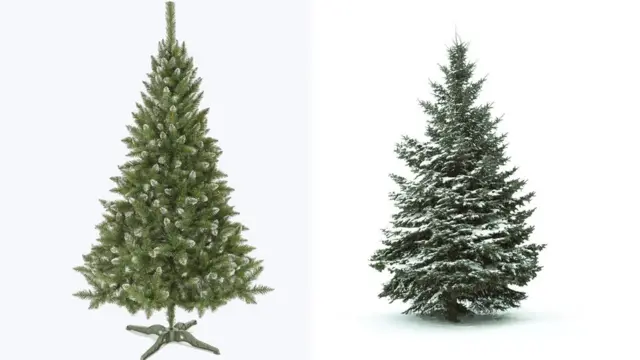 Christmas trees: Real or fake? - BBC News