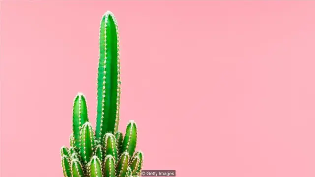 "行房前喝杯红酒——有好处。"