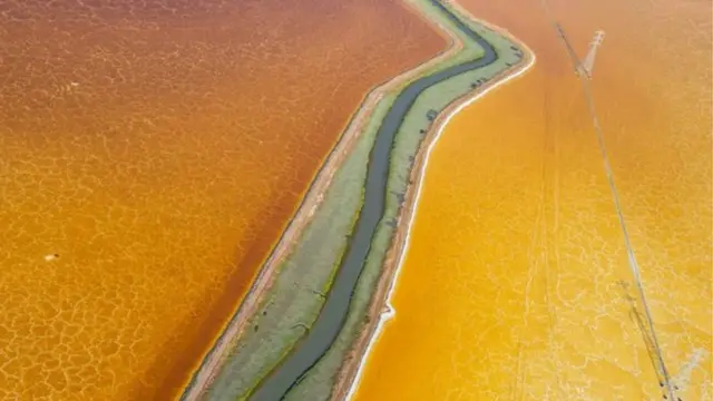 بالصور: جوائز جمعية المصورين البريطانيين