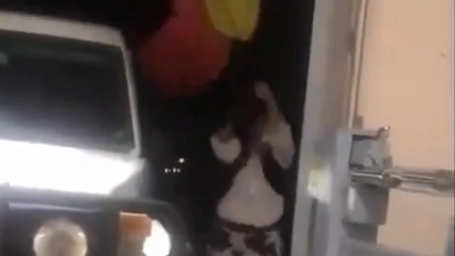 A screenshot of a video showing a woman identified as Karen trying to pull down the Aboriginal flag