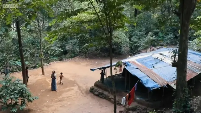 වනය මැද පිහිටි වෙලූතාගේ නිවස