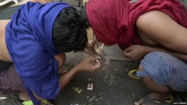 ગાંજાની ખેતી પર પોલીસ કાર્યવાહી