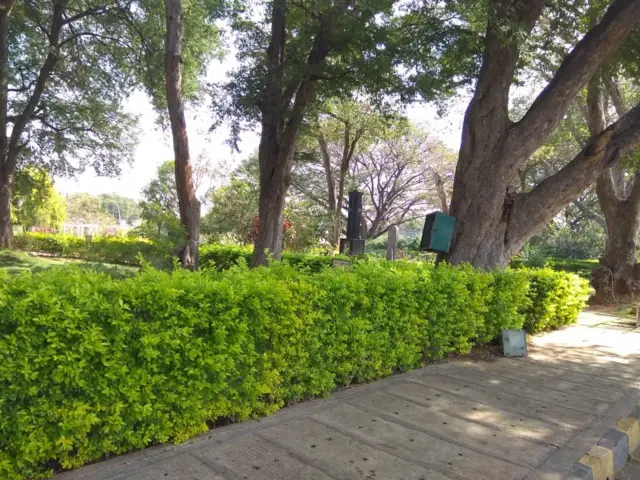 32 మంది అసువులు బాసింది ఈ తోటలోనే