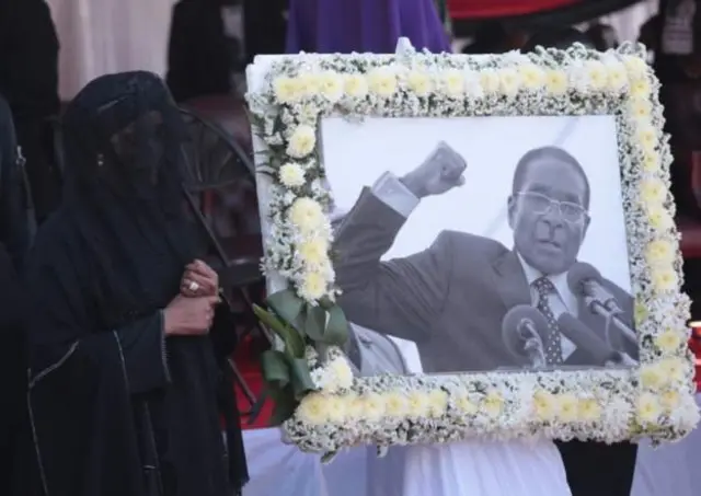 La famille de Mugabe héritera des propriétés du Zanu-PF