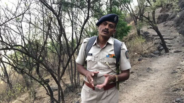 रिया घाटघरे, मधमाशा हल्ला, पर्यावरण