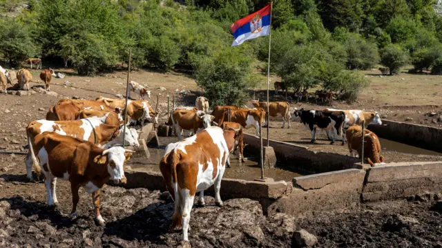 Pojilište Rakoš ostalo je bez vode