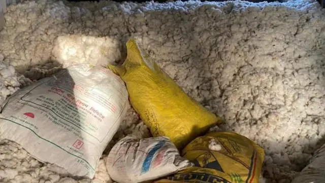 प्रातिनिधिक फोटो