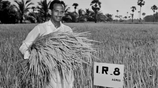 रासायनिक खतांमुळे शेतीचा चेहरामोहराच बदलला 