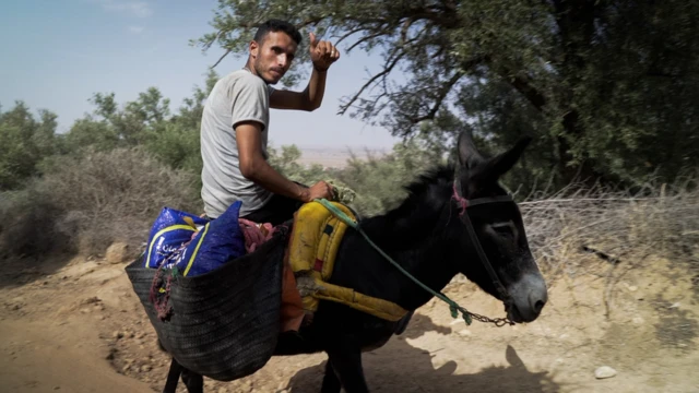 Yardımlar, yolların ulaşamadığı bölgelere eşeklerle taşınıyor