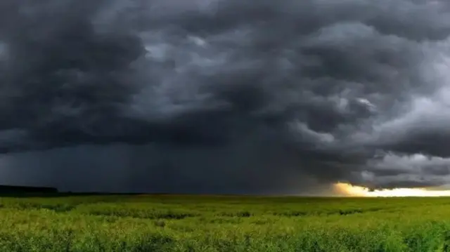 ગુજરાતમાં વરસાદ