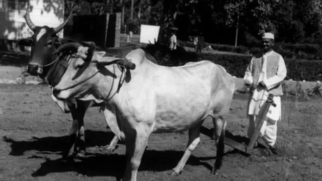 लाल बहादूर शास्त्री