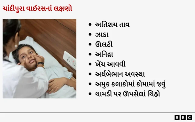ગુજરાતમાં ચાલુ વર્ષે ચાંદીપુરા વાઇરસના કારણે કુલ ત્રણ બાળકોનાં મોત થયાં છે