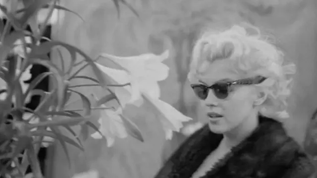 Bagi wartawan Anthony Summers, tidak ada bukti yang bisa mendukung tuduhan bahwa Marilyn Monroe dibunuh.