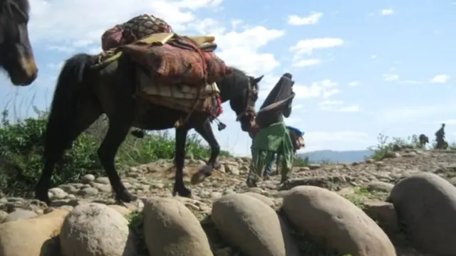 बकरवाल समुदाय