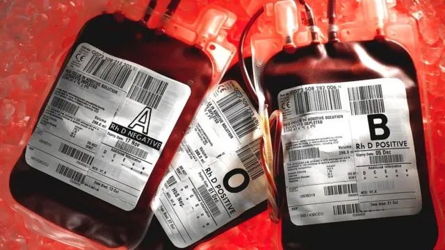 Красные кровяные тельца обычно живут лишь несколько месяцев, а потом их заменяют новые. А вот другие типы клеток, например, нейроны, в основном живут с нами с рождения и до смерти