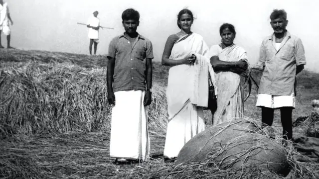 हेमलता लवनम, Hemlata Lavnam