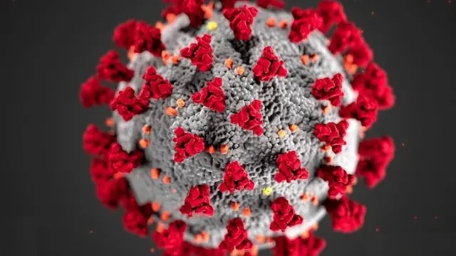 U Rwanda rumenyesha ko abamaze kwandura umugera wa coronavirus ari 143