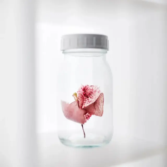 알케미스트 '맛의 벽'에 있는 콤부차 꽃