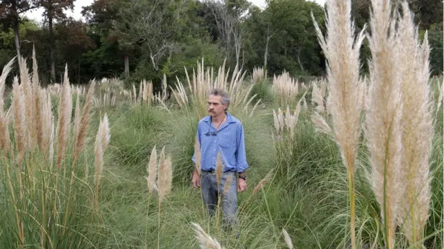 Ignacio Errandonea camina entre la maleza.