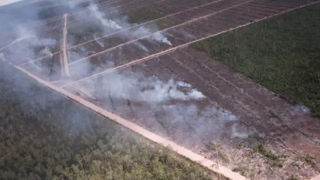 Incêndios em área de floresta vista de cima em Papua, na Indonésia