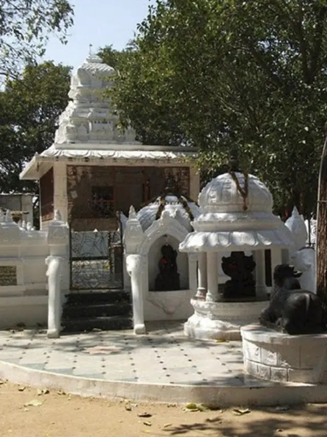 थिम्मम्मा मारिमनु