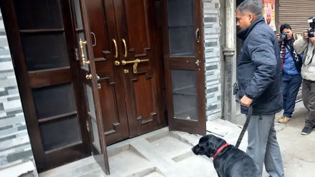 સ્નીફર ડૉગ