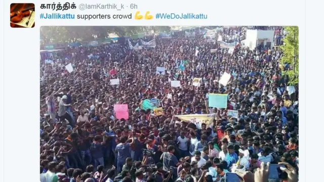 ஜல்லிக்கட்டிற்காக சென்னையில் திரண்ட இளைஞர்கள் கூட்டம் (புகைப்படத் தொகுப்பு)