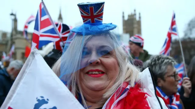 сторонница брексита