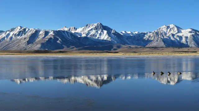 ኣክራናት ካሊፎርንያ